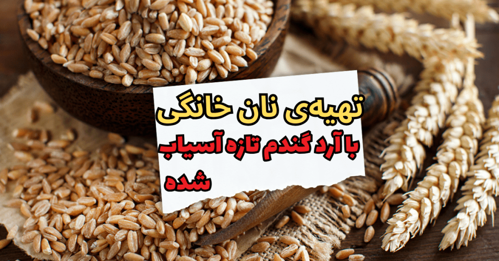 تهیه‌ی نان خانگی با آرد گندم تازه آسیاب شده