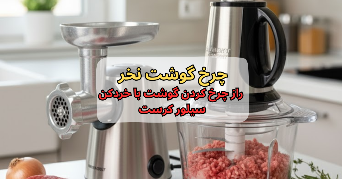 راز چرخ کردن گوشت با خردکن سیلور کرست